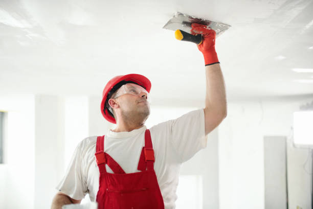 Best Ceiling Drywall Installation  in Rockton, IL